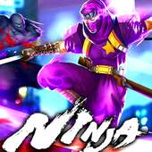 Super Ninja Fight