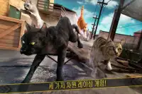 베스트 고양이 경주 . 레이싱 월드 무료 게임 어린이 Screen Shot 0