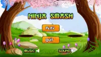 Ninja Vurmaca / Ninja Smash Screen Shot 0