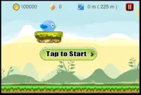 Candy Bird Screen Shot 1