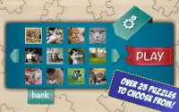 Free Cats Jigsaw Puzzles Screen Shot 9