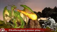 Dragon Killing Attack: Flying Dragon Caza 3D Screen Shot 4