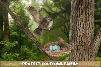 Wild Owl Bird Family Survival Screen Shot 10