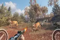 Animal Sniper Expert Hunting 3D Screen Shot 0