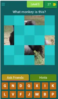 Guess the Monkey - 2021 Quizz Screen Shot 4