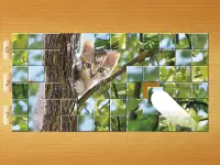 Cat Puzzles - Drag & Swap Screen Shot 9