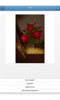 Varieties of roses - quiz Screen Shot 9