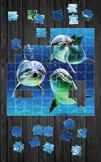 돌고래 직소 퍼즐 게임 Screen Shot 5