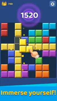 Block Master - Puzzle Game Screen Shot 1