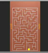 Maze Ball Roller Screen Shot 4