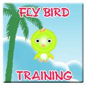 Fly Bird Training