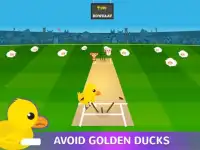 Trofeo de campeones - Cricket Fiebre 2017 Screen Shot 2