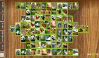 Mahjong Fauna-Animal Solitaire Screen Shot 13