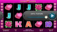 FREE SLOT MACHINE SIMULATOR(TRUE LOVE) Screen Shot 1