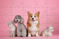 Teka-teki Jigsaw Anjing 🧩🐕🧩🐶🧩 Screen Shot 7