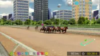 Pick Horse Racing Screen Shot 1