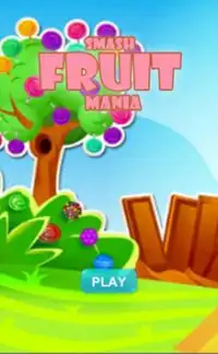 Smash Fruit Mania Screen Shot 4