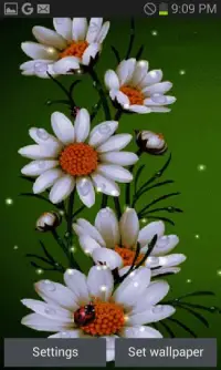 White Flowers Beauty LWP Screen Shot 0