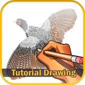 TutorialDrawing: Pheasant Free Drawing & Coloring