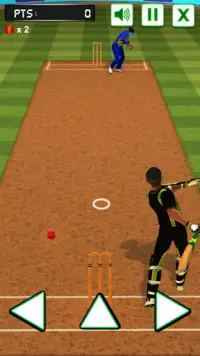क्रिकेट बल्लेबाजी चुनौती Screen Shot 2