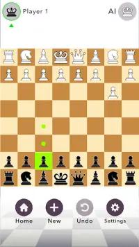 Chess Classic Screen Shot 1