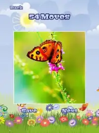 Butterfly Puzzles Screen Shot 8