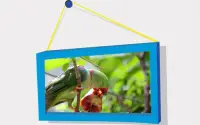 Hewan Puzzle: Burung Screen Shot 2