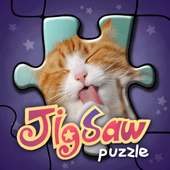 Искусство головоломки (Jigsaw)