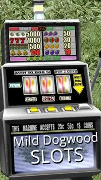 Mild Dogwood Slots - Free Screen Shot 2