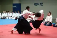 Aikido training Screen Shot 2
