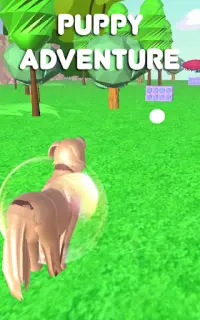 Running dog game: pug run competition Screen Shot 0