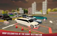 Limo Transport City Drive 2017 Screen Shot 1