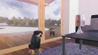 Rottweiler Dog Simulator Screen Shot 1