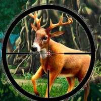 chasse aux animaux safari: tir de sniper