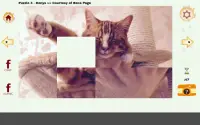 Cazzle - Sleeping Cat Puzzles Screen Shot 10
