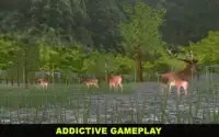 Selvagem Sniper Deer Hunting Screen Shot 2