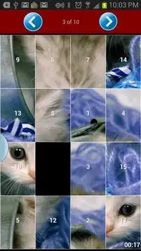 Cat Puzzle Screen Shot 1