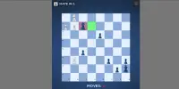 Chess Mania! - Satranç Çılgınlığı! Screen Shot 2