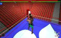 Смертельный бой Бокс 3D Screen Shot 4