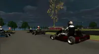 Go Kart Race 3D Screen Shot 1