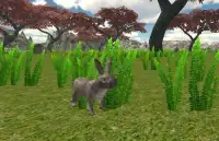 Rabbit Hunter 2016 Screen Shot 7