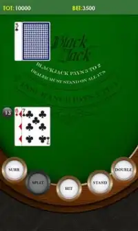 Blackjack Lite Screen Shot 4