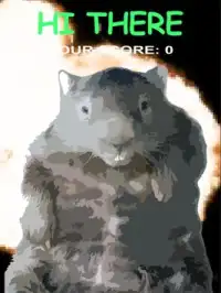 WOMBAT DASH Screen Shot 5