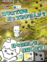 にゃんこ日和〜ほのぼの子猫育成ゲーム〜 Screen Shot 10