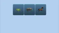 Guess the animal voice Screen Shot 0