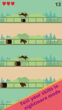 Make the Pet Jump Multiplayer Screen Shot 8