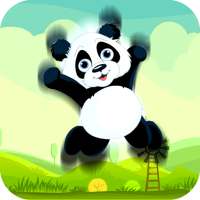 Bouncing Panda : Free Tap Game