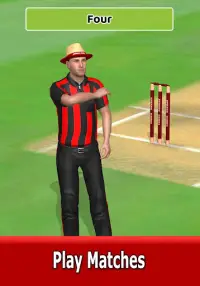 Cricket World Domination Screen Shot 18
