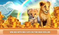 Casino Kitty Free Slot Machine Screen Shot 5