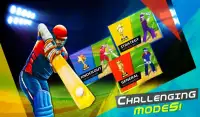 I.P.L T20 Cricket 2016 Craze Screen Shot 7